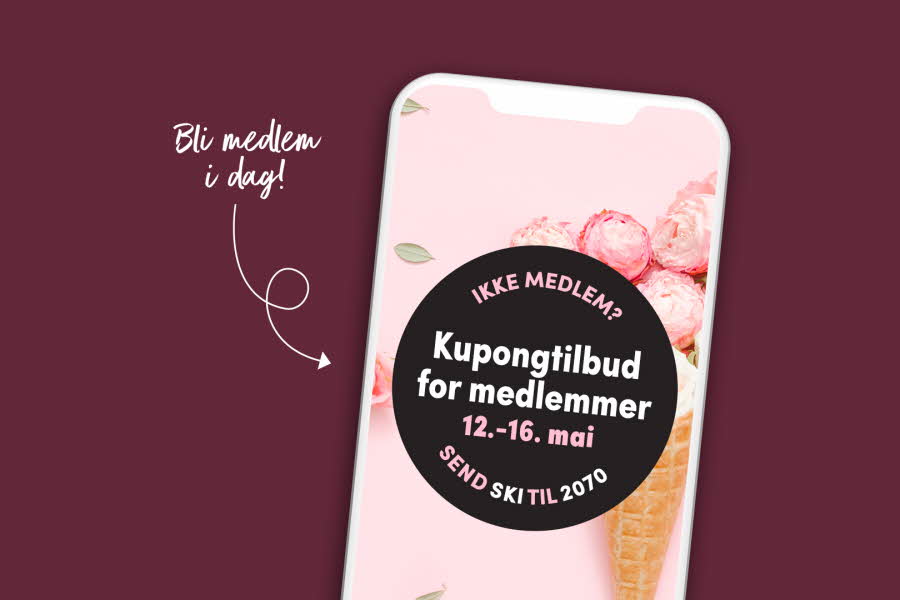 Aktivitetsbilde til "Du har festen - vi har resten". En mobil med informasjon om kundeklubben