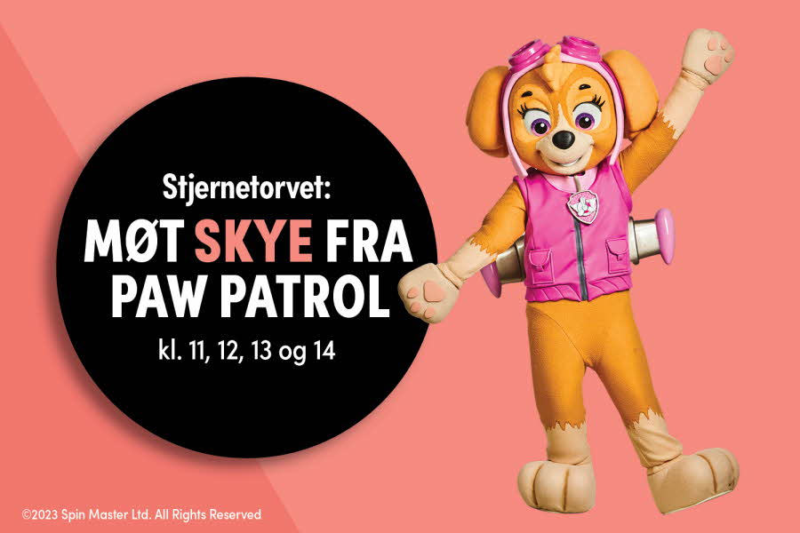 Møt Skye på Stjernetorvet