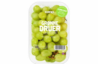 bilde av grønne druer