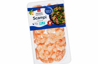 bilde av scampi