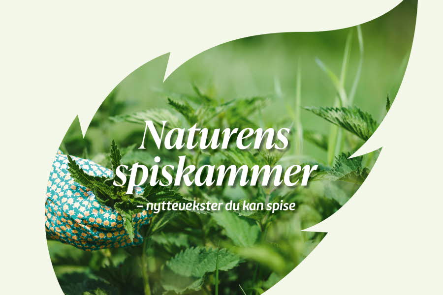 Grønt blad med teksten Naturens spiskammer