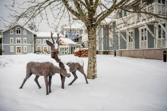 Lørenskog områdefoto vinter 2021