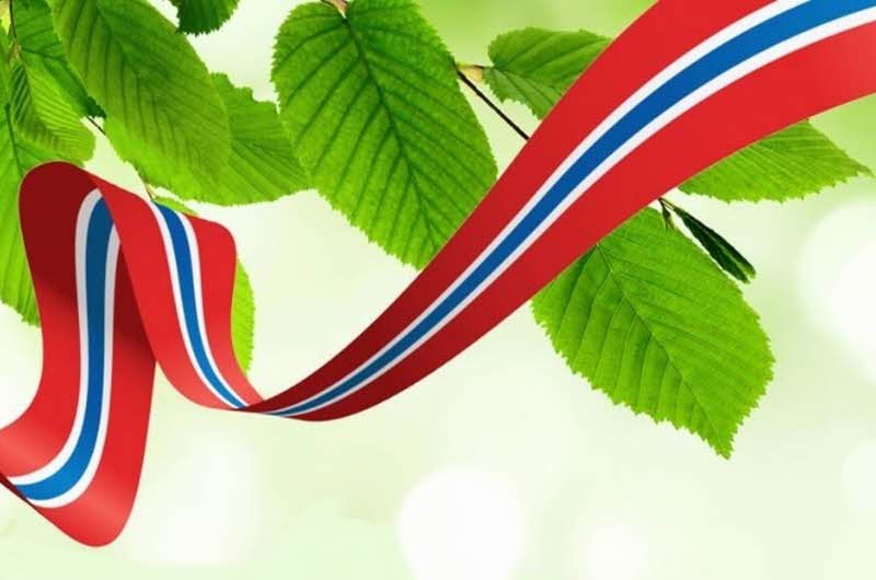 flaggbanner og grønt løv