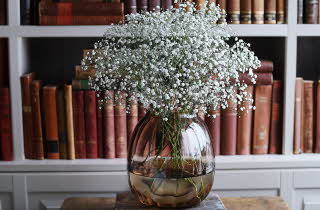 En vase med brudeslør står på et bord foran en bokhylle