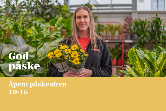 Åpningstider