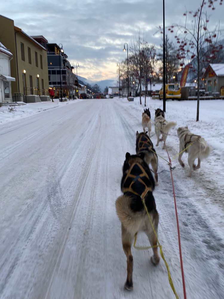 hundespann i Otta sentrum