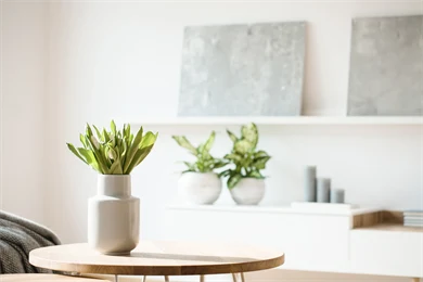 En lite bord med en plante på, med en hylle med planter og et par bilder i bakgrunnen