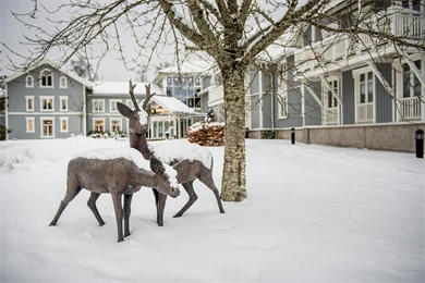 Lørenskog områdefoto vinter 2021