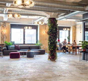 Interiør fra kontoret til The Oslo Company, stor og åpen sosial sone med rustikke detaljer som betonggulv og ventilasjon, grønne planter og lyse farger på veggene