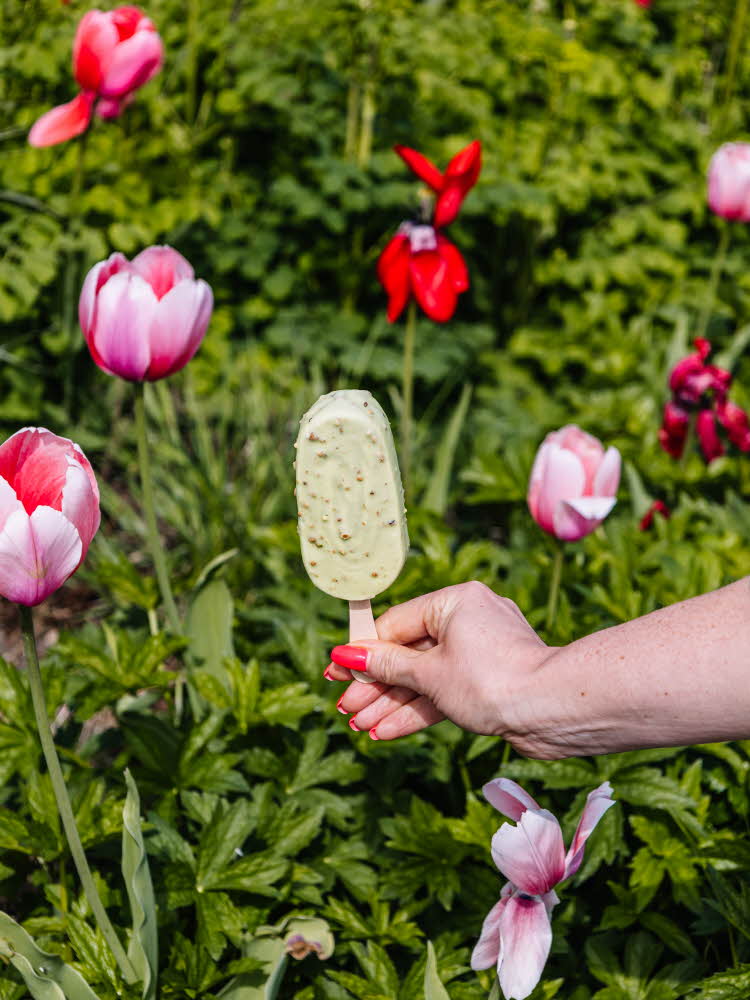 Dame holder is foran blomster