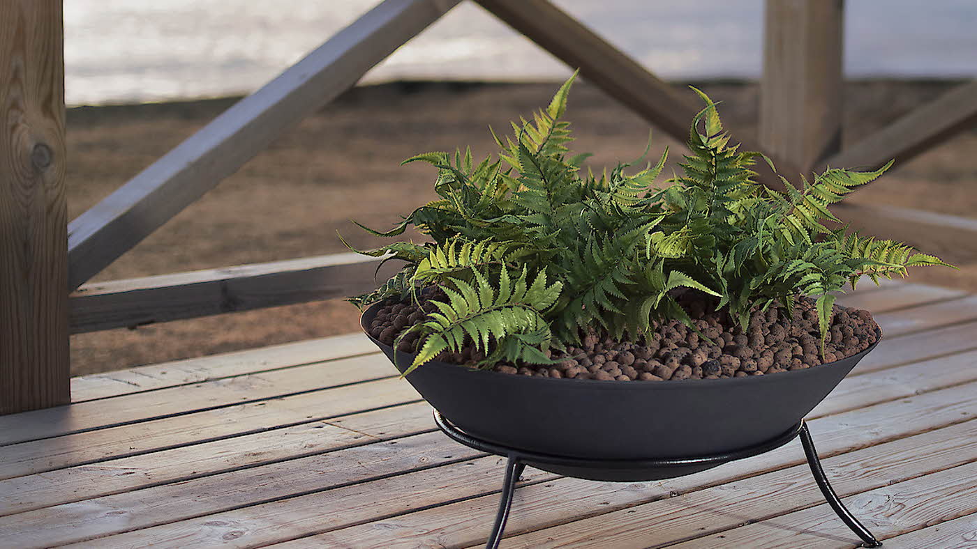 Uteplante i sort kasse