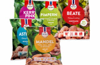 bilde av ulike poser med poteter