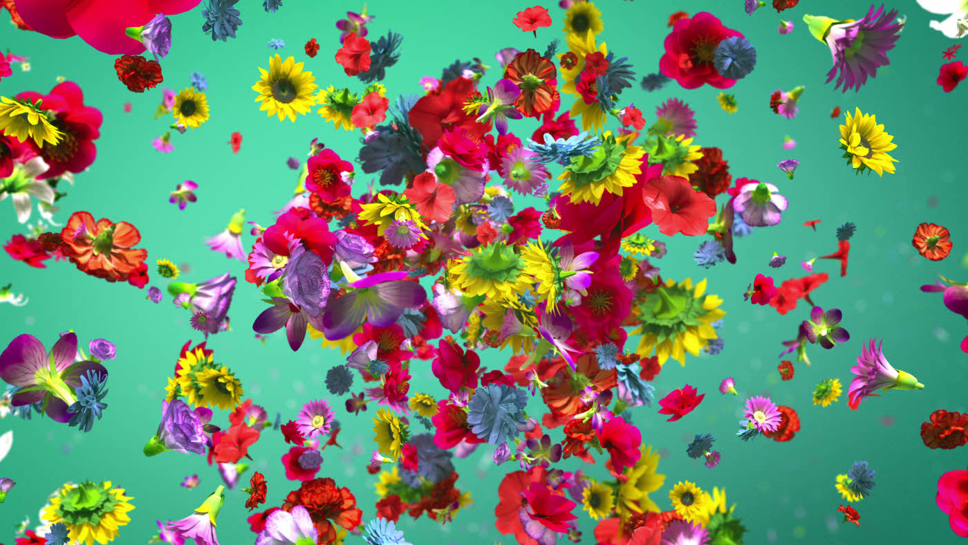 Blomster som "eksploderer" på turkis bakgrunn