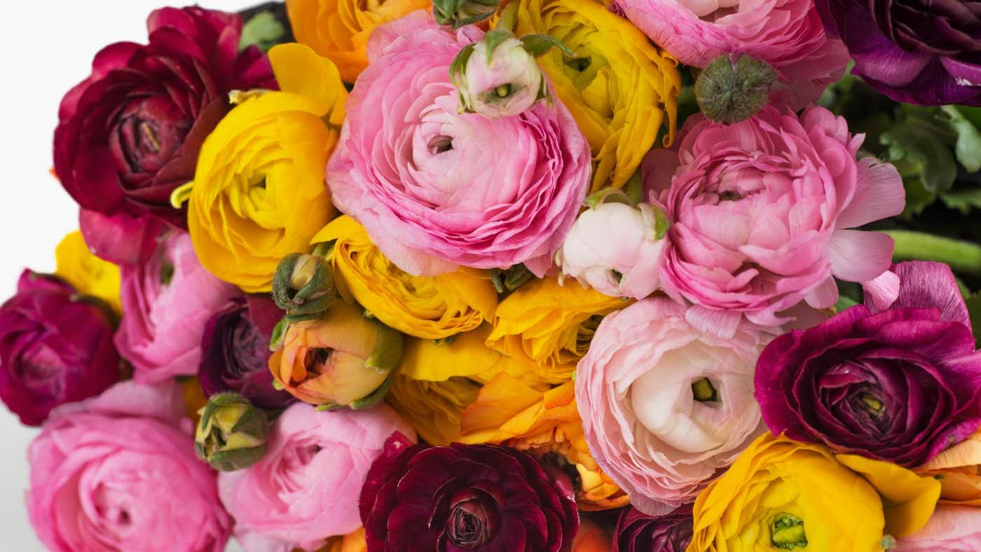 Bukett med friske blomster