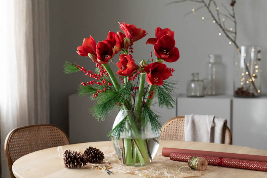 Blomster er alltid en hyggelig gave å gi. Mester Grønn har tips til julegaver som garantert vil bli satt pris på. 