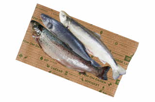 Matpapir med 3 ulike fisk.