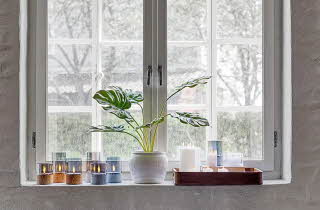 En vinduskarm med flere LED-lys stående, og en plante i midten