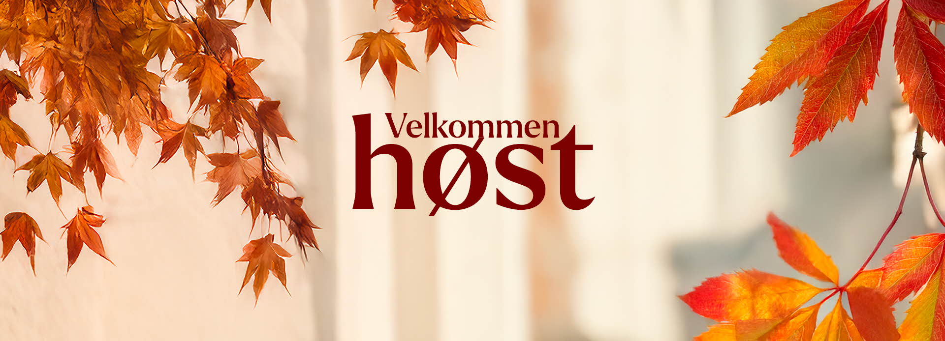 Høstblader og bygninger i bakgrunn og teksten "velkommen høst"