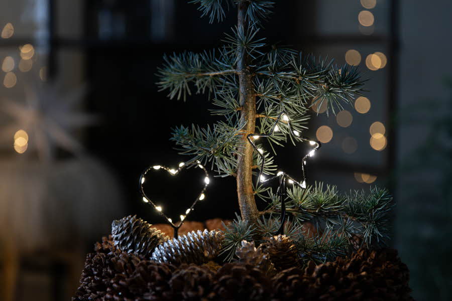 Synes du november kan være litt mørk og trist? Da bør du omfavne den nye tradisjonen Novent, hvor vi venter på advent og kan begynne å pynte litt til jul. 