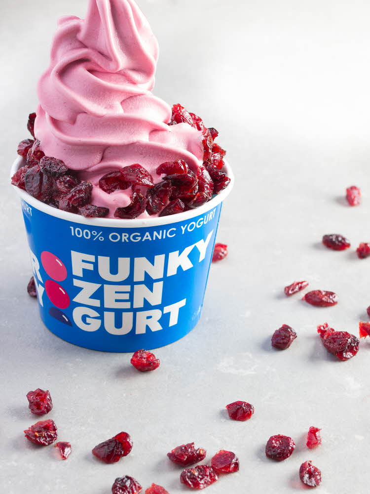 Rosa Funky Frozen yoghurtis