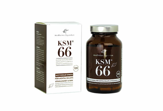 KSM 66