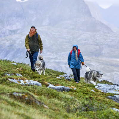 Par går tur i fjell med hunder 
