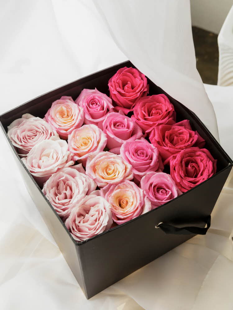 Rosa roser i en firkantet boks