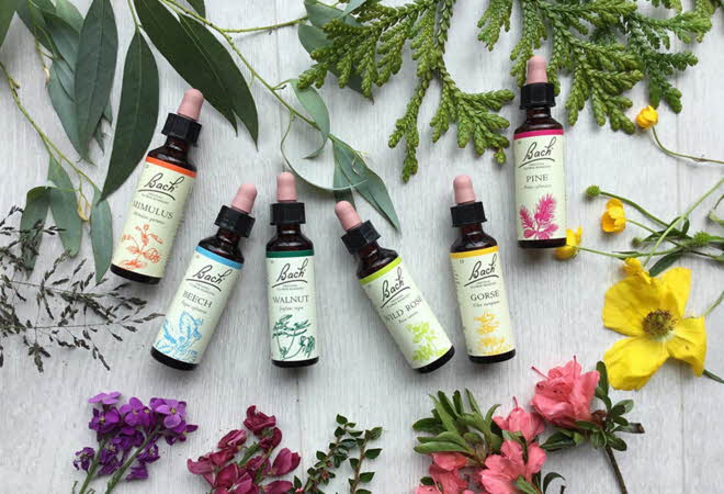 Seks forskjellige flasker med Bach Remedy ligger omringet av blomster