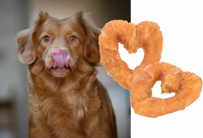 bilde av en hund med kylling hjerte godteri