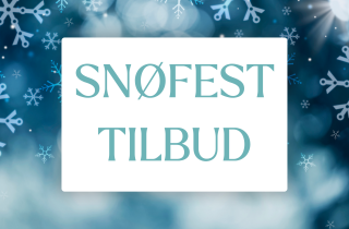 snøfest