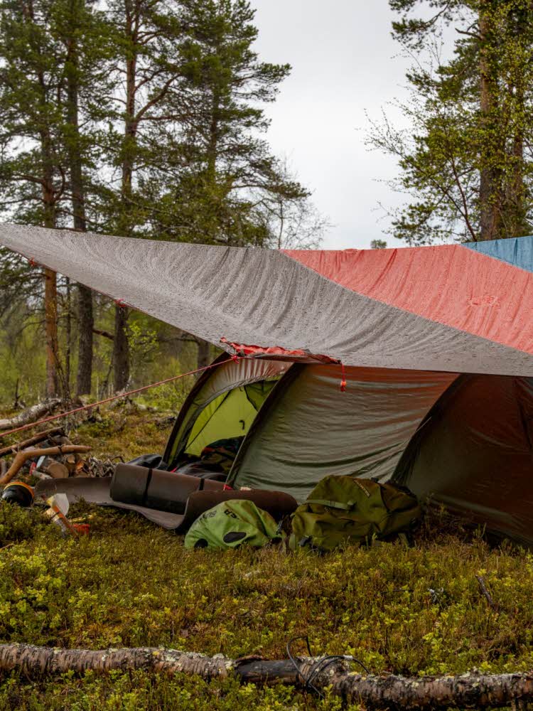 Telte i skogen
