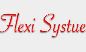 Flexi Systue - Tjenester og virksomheter