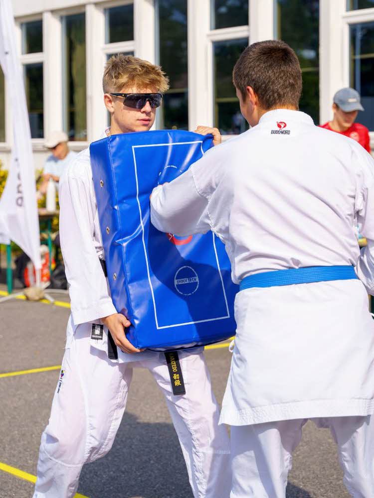 Vågsbygd-dagene amfi vågsbygd kjøpesenter årets kjøpesenter karate gratis vågsbygd