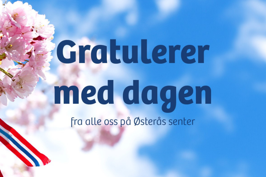 Gjør deg klar til 17. mai – våre tips til alt du trenger til den store dagen ❤️