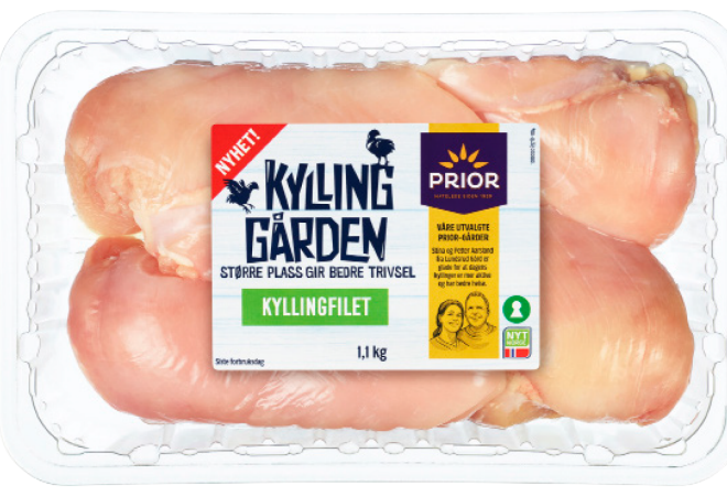 bilde av kylling gården kylling
