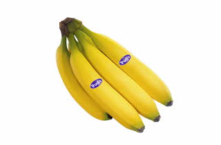 En klase med fem gule bananer med Trudis-merkelapper.