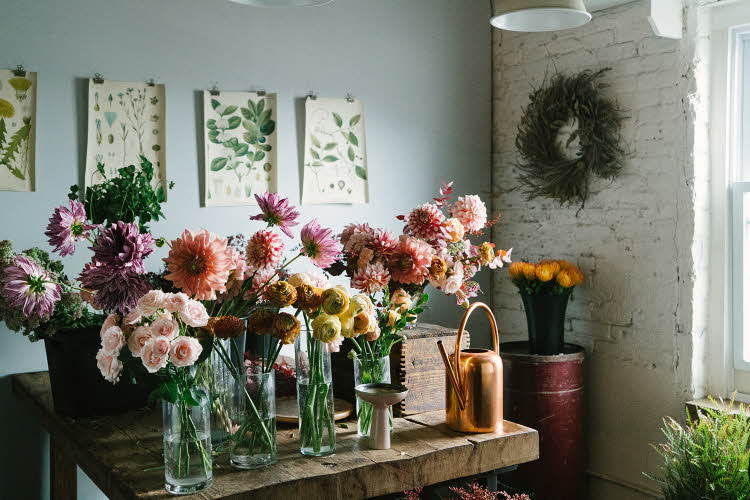Bord fullt av Dahlia eller georginer