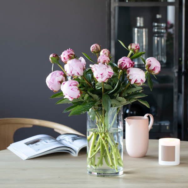 hvite og rosa blomstrer i en vase med vann