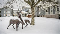 Lørenskog områdefoto vinter 2021