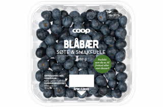 bilde av blåbær