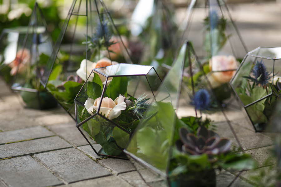 Grønne planter og blomster i gjennomsiktige glassvaser