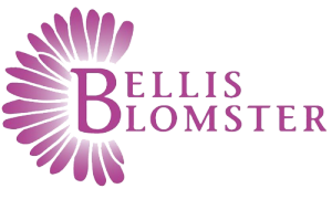 Bellis Blomster - Blomster
