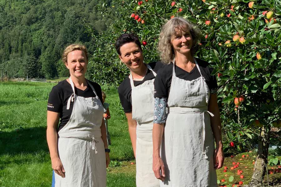 Hey Honey Julia, Marit, Gunhild ute med epletre