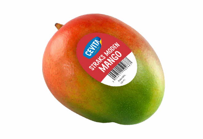 bilde av en mango