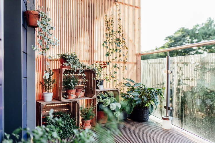 Moderne balkong med grønne planter