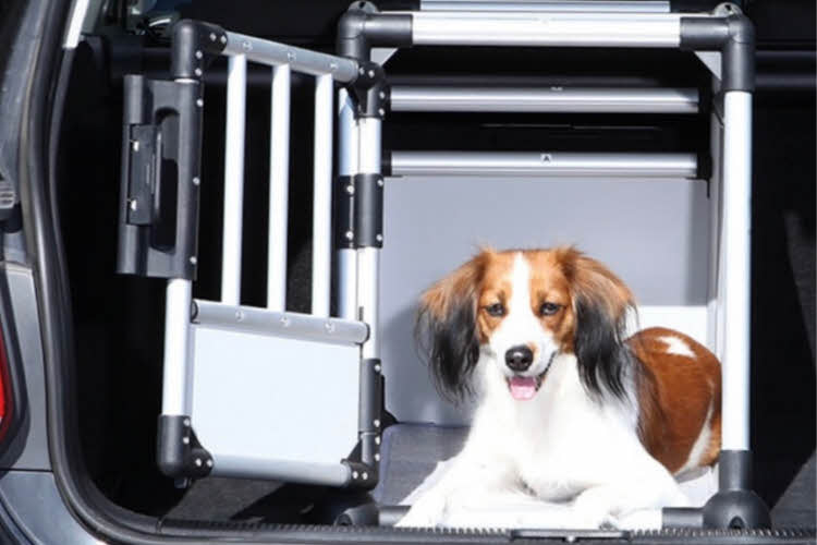 Hund sitter i hundebur i en bil