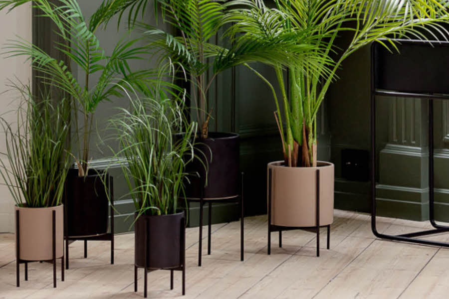 pidestall potter med planter hos Kremmerhuset. foto