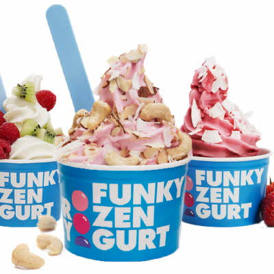 Funky Frozen Yogurt