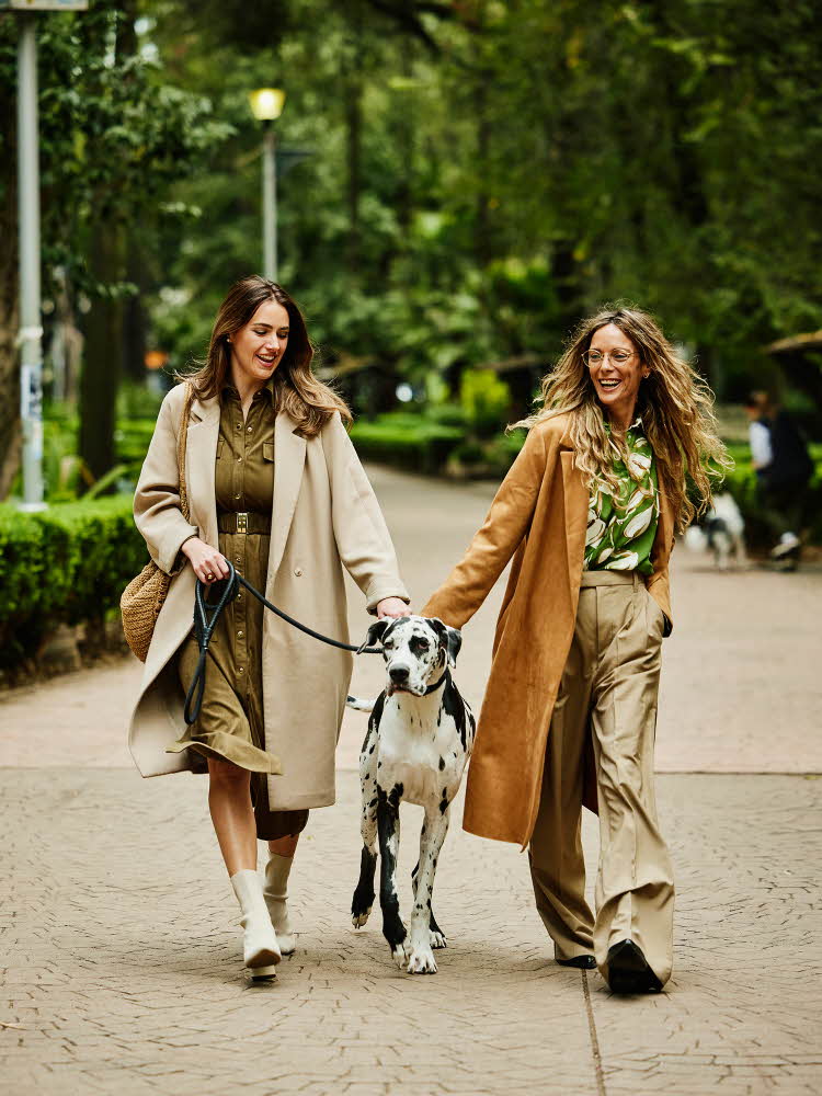 To damer med lange kåper og grønn topp går utendørs med sort og hvit great dane hund