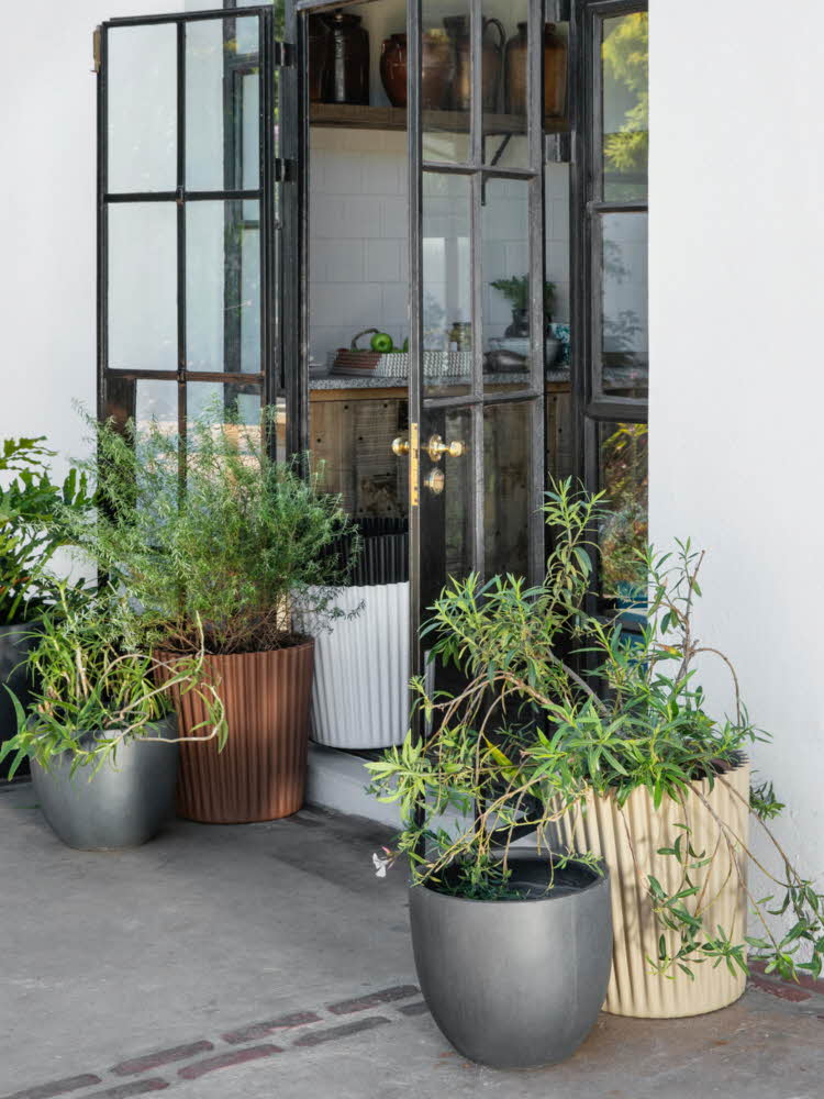 Fire store grønne planter i grå og brune potter ved en åpen glassdør